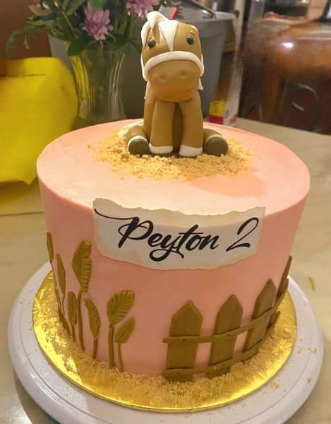 Birthday cake decorated with a donkey
